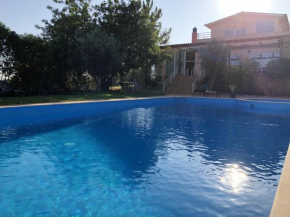 One bedroom bungalow with shared pool enclosed garden and wifi at Silves